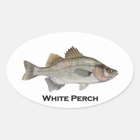 White Perch Ovale Sticker (Voorkant)