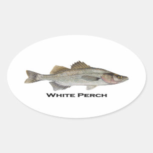 White Perch Ovale Sticker