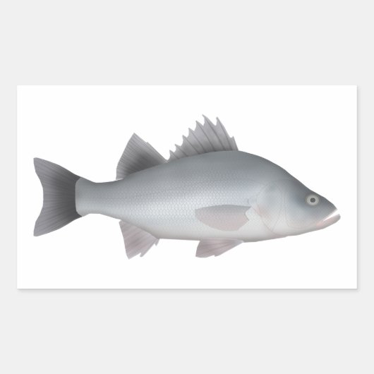 White Perch Rechthoekige Sticker (Voorkant)