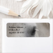 White Percheron Horse Eye Adres Etiket (Insitu)