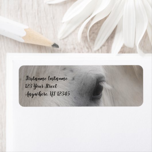 White Percheron Horse Eye Adres Etiket (Insitu)