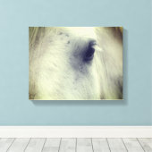 White Percheron Horse Eye Canvas Afdruk (Insitu (Houten vloer))