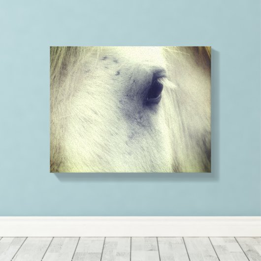 White Percheron Horse Eye Canvas Afdruk (Insitu (Houten vloer))