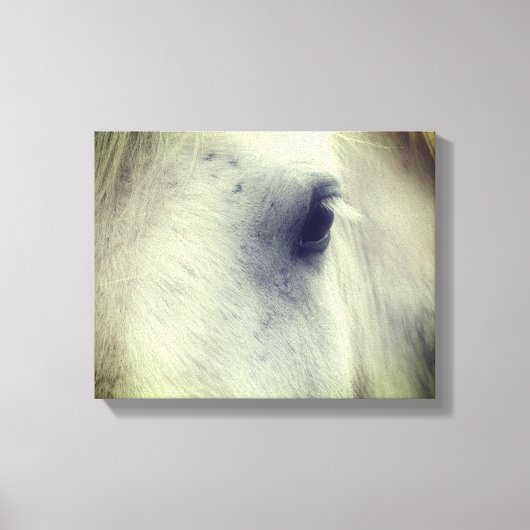 White Percheron Horse Eye Canvas Afdruk (Voorkant)