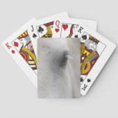 White Percheron Horse Eye Pokerkaarten (Achterkant)