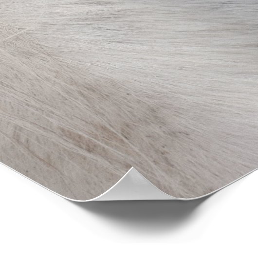 White Percheron Horse Eye Poster (Hoek)