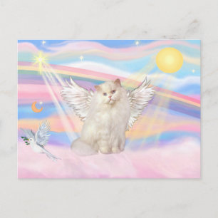 White Persian Cat Angel in Clouds Briefkaart