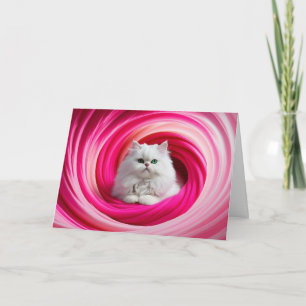 White Persian Cat Gyre Kaart