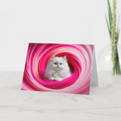 White Persian Cat Gyre Kaart (Voorkant)