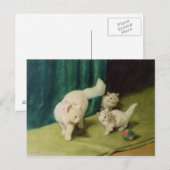 White Persian Cat met twee Kittens Briefkaart (Voorkant / Achterkant)