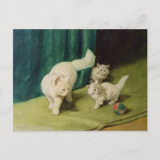White Persian Cat met twee Kittens Briefkaart (Voorkant)