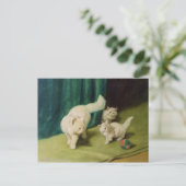 White Persian Cat met twee Kittens Briefkaart (Staand voorkant)