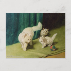 White Persian Cat met twee Kittens Briefkaart