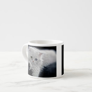 White Persian Kitten Espresso Kop