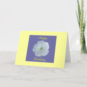 White Petunia Kaart