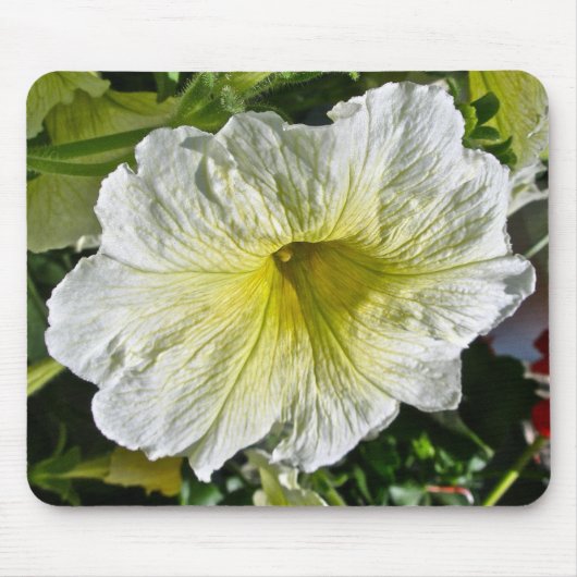 White Petunia Series Coordinating Items Muismat (Voorkant)