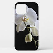 White Phalaenopsis Orchid on Black Case-Mate iPhone Case (Achterkant)