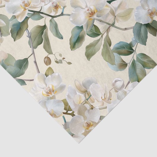 White Phalaenopsis Orchid Tissuepapier (Detail)