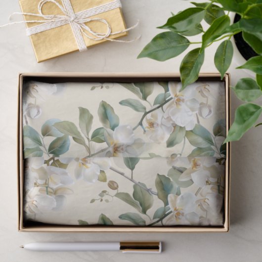 White Phalaenopsis Orchid Tissuepapier (Geschenk)