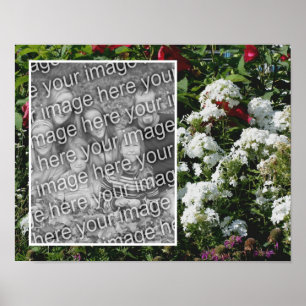 White Phlox Flower Garden Uw foto toevoegen Poster