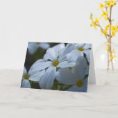 White Phlox Kaart (Gele Bloem)