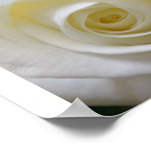 White Photo Collage Poster (Hoek)