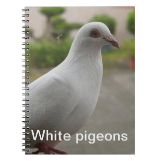 White pigeons notebook notitieboek