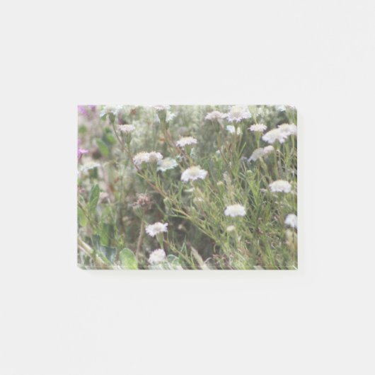 White Pincushion Wildbloemen Digital Waterverf Po Post-it® Notes (Voorkant)
