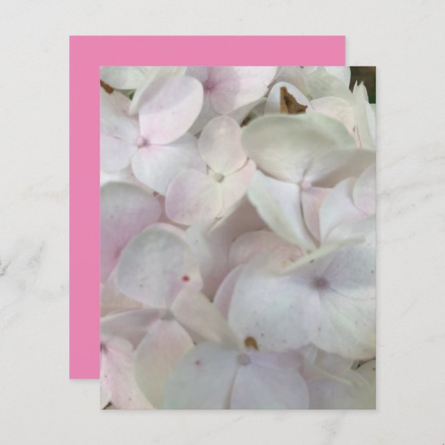 White Pink Hydrangea Blossom Scrapbook Paper (Voorkant / Achterkant)