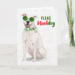 White Pit Bull Dog Funny Fleas Navidog Kerstmis Feestdagen Kaart