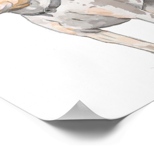 White Pit Bull Dog Waterverf Schets Poster (Hoek)