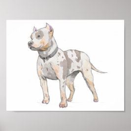 White Pit Bull Dog Waterverf Schets Poster