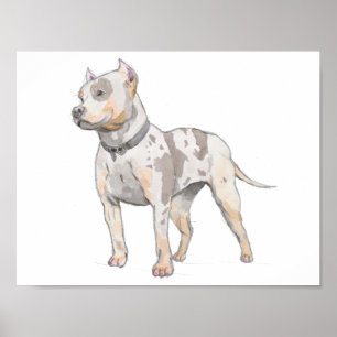 White Pit Bull Dog Waterverf Schets Poster