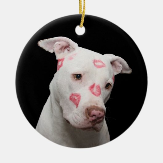 White Pit Bull met Kisses Keramisch Ornament (Voorkant)