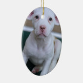 WHITE PIT BULL PUPPY ORNAMENT (Rechts)