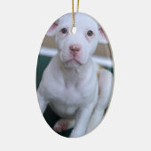 WHITE PIT BULL PUPPY ORNAMENT (Links)