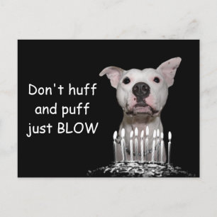 White Pitbull Birthday Briefkaart