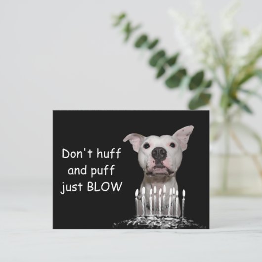 White Pitbull Birthday Briefkaart (Staand voorkant)