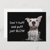 White Pitbull Birthday Briefkaart (Voorkant / Achterkant)
