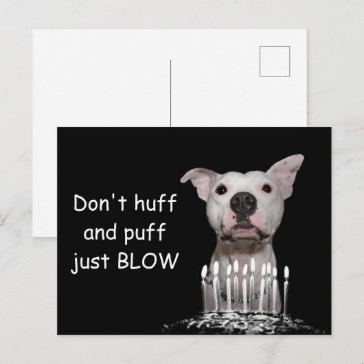 White Pitbull Birthday Briefkaart (Voorkant / Achterkant)