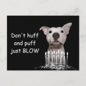 White Pitbull Birthday Briefkaart (Voorkant)