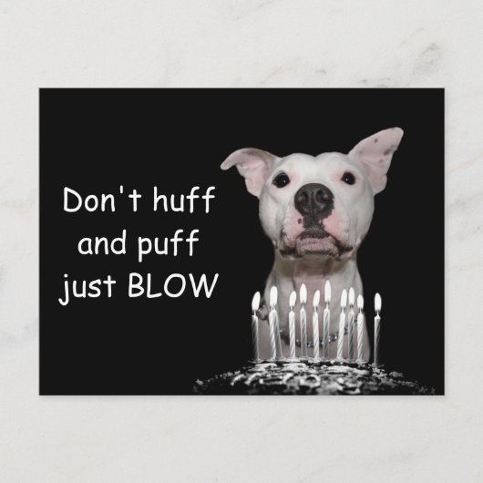 White Pitbull Birthday Briefkaart (Voorkant)