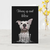 White Pitbull Birthday Kaart (Gele Bloem)