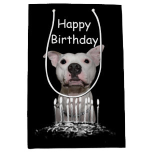 White Pitbull Birthday Medium Cadeauzakje