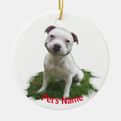 White Pitbull Grinning in the Grass Keramisch Ornament (Voorkant)