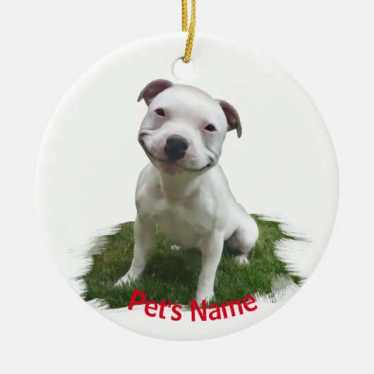 White Pitbull Grinning in the Grass Keramisch Ornament (Voorkant)