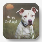 White Pitbull Papieren Bordje (Voorkant)