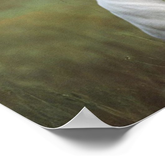 White Pitbull Poster (Hoek)