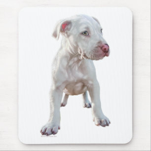 White Pitbull Puppy Muismat
