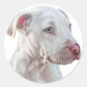 White Pitbull Puppy Ronde Sticker (Voorkant)